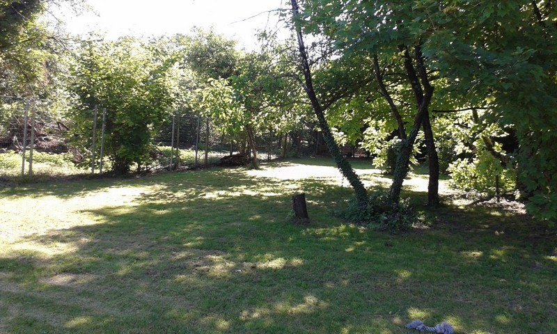 20150622_095816