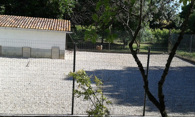20150622_100303