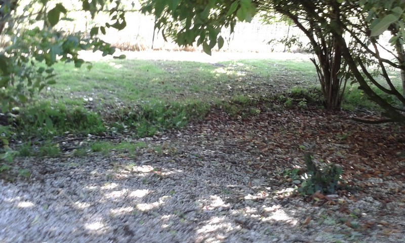 20150622_100715