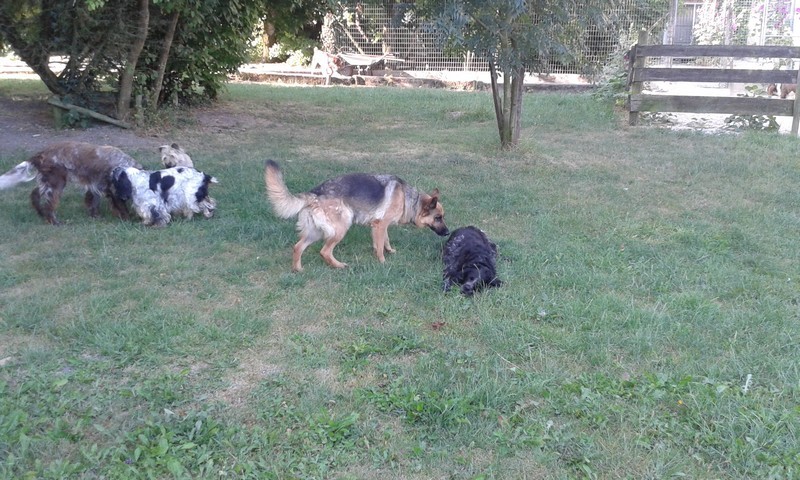20150713_090027